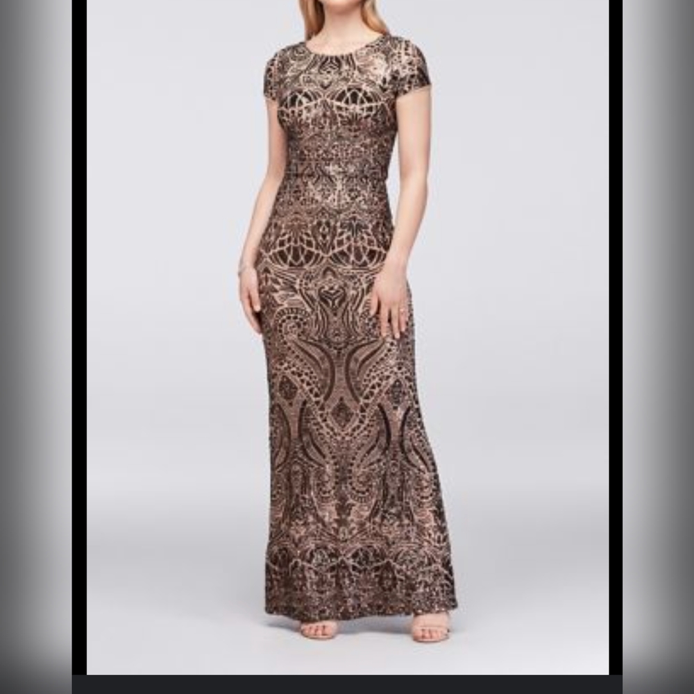 Sequin Gown 16w